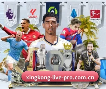 xingkong直播 应用程序