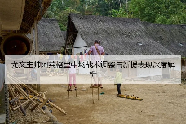 尤文主帅阿莱格里中场战术调整与新援表现深度解析